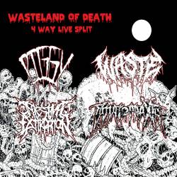 Piggy : Wasteland of Death - 4 Way Live Split